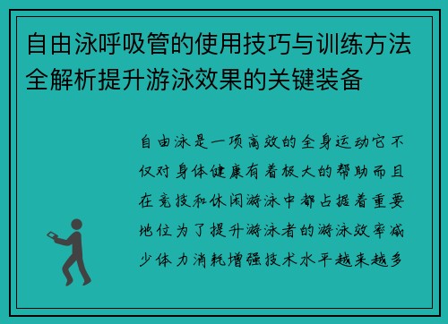 自由泳呼吸管的使用技巧与训练方法全解析提升游泳效果的关键装备